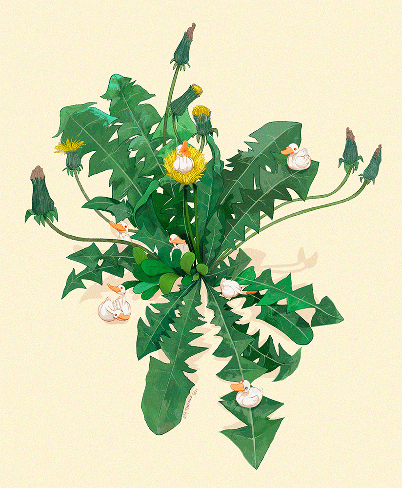illustration about little ducks living in a dandelion