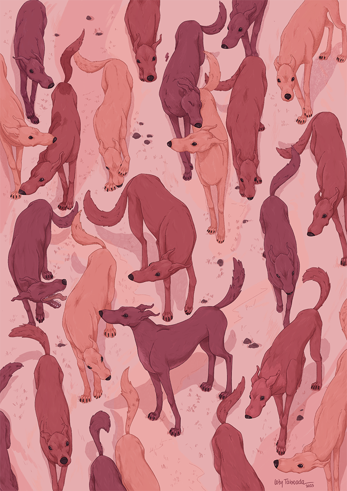 The Pack